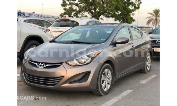 Buy Import Hyundai Elantra Brown Car in Import - Dubai in Agadez Buy Import Hyundai Elantra Brown Car in Import - Dubai in Agadez
