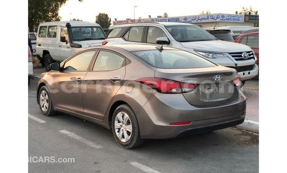 Buy Import Hyundai Elantra Brown Car in Import - Dubai in Agadez Buy Import Hyundai Elantra Brown Car in Import - Dubai in Agadez