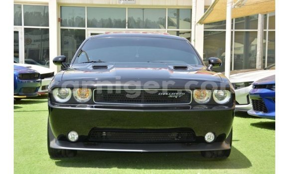 Acheter Import Voiture Dodge Challenger Noir à Import - Dubai, Agadez