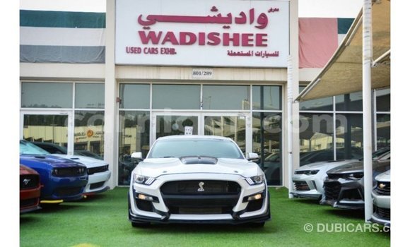 Acheter Import Voiture Ford Mustang Blanc à Import - Dubai, Agadez Acheter Import Voiture Ford Mustang Blanc à Import - Dubai, Agadez