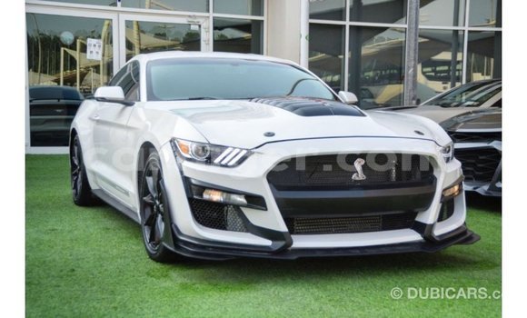 Acheter Import Voiture Ford Mustang Blanc à Import - Dubai, Agadez Acheter Import Voiture Ford Mustang Blanc à Import - Dubai, Agadez