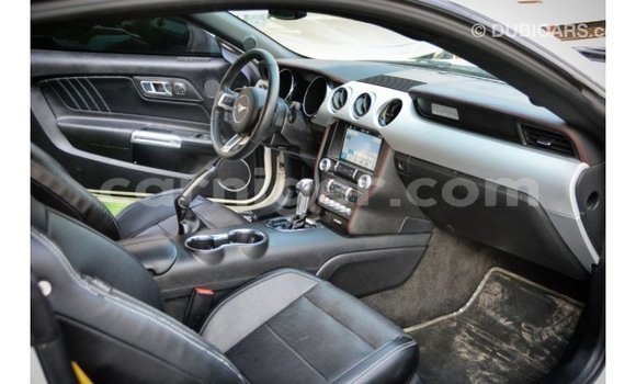 Acheter Import Voiture Ford Mustang Blanc à Import - Dubai, Agadez Acheter Import Voiture Ford Mustang Blanc à Import - Dubai, Agadez