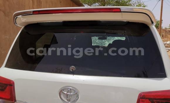 Sayi Na hannu Toyota Land Cruiser White Mota in Abalak a jihohin Tahoua Sayi Na hannu Toyota Land Cruiser White Mota in Abalak a jihohin Tahoua