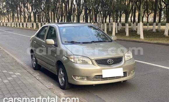 Buy Used Toyota Vios Silver Car in Abalak in Tahoua Buy Used Toyota Vios Silver Car in Abalak in Tahoua