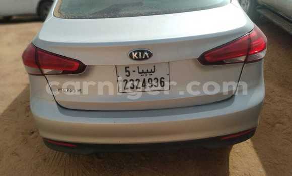 Acheter Import Voiture Kia Forte Gris à Agadez, Agadez Acheter Import Voiture Kia Forte Gris à Agadez, Agadez