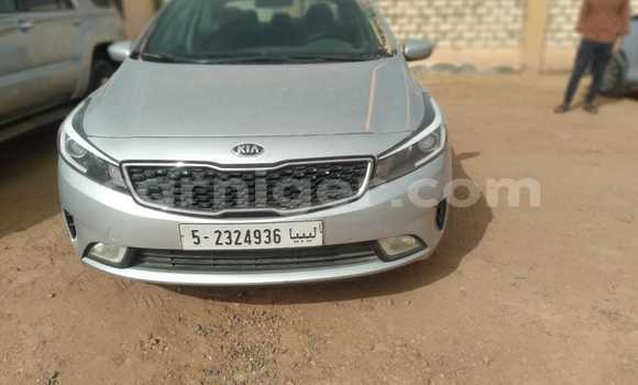 Acheter Import Voiture Kia Forte Gris à Agadez, Agadez Acheter Import Voiture Kia Forte Gris à Agadez, Agadez