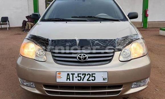 Sayi Na hannu Toyota Corolla Brown Mota in Niamey a Niamey Sayi Na hannu Toyota Corolla Brown Mota in Niamey a Niamey