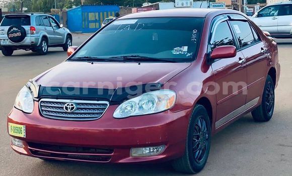 Buy Used Toyota Corolla Other Car in Niamey in Niamey Buy Used Toyota Corolla Other Car in Niamey in Niamey