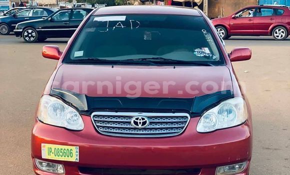 Buy Used Toyota Corolla Other Car in Niamey in Niamey Buy Used Toyota Corolla Other Car in Niamey in Niamey