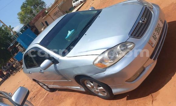Buy Used Toyota Corolla Other Car in Niamey in Niamey Buy Used Toyota Corolla Other Car in Niamey in Niamey