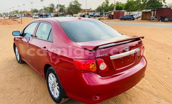 اشتري Imported Toyota Corolla Red سيارة في نيامي في نيامي اشتري Imported Toyota Corolla Red سيارة في نيامي في نيامي