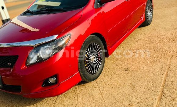 اشتري جديد Toyota Corolla Red سيارة في نيامي في نيامي اشتري جديد Toyota Corolla Red سيارة في نيامي في نيامي