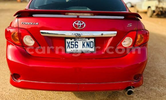 اشتري جديد Toyota Corolla Red سيارة في نيامي في نيامي اشتري جديد Toyota Corolla Red سيارة في نيامي في نيامي