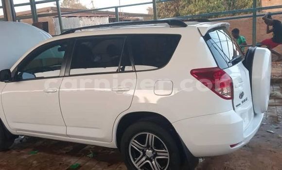 Buy Used Toyota RAV4 White Car in Niamey in Niamey Buy Used Toyota RAV4 White Car in Niamey in Niamey