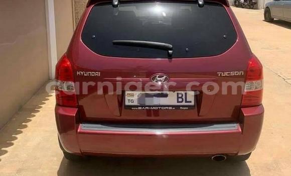 Buy Used Hyundai Tucson Other Car in Niamey in Niamey Buy Used Hyundai Tucson Other Car in Niamey in Niamey
