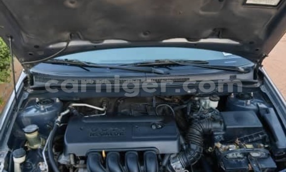 Sayi Na hannu Toyota Corolla Other Mota in Birni N'Gaoure a Dosso Sayi Na hannu Toyota Corolla Other Mota in Birni N'Gaoure a Dosso