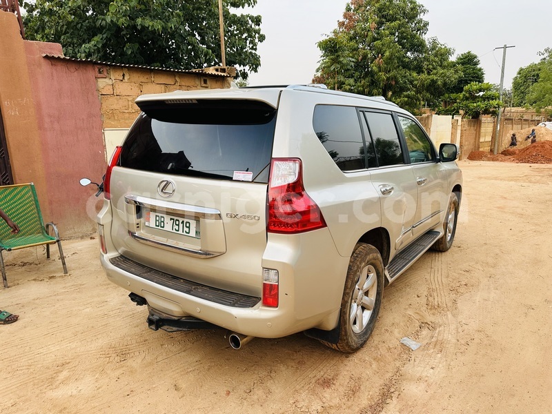 Big with watermark lexus gx niamey niamey 7985