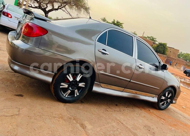 Big with watermark toyota corolla agadez bilma 8017