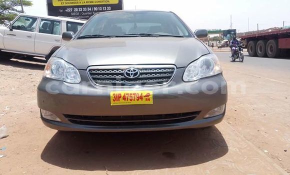 Buy Used Toyota Corolla Other Car in Niamey in Niamey Buy Used Toyota Corolla Other Car in Niamey in Niamey
