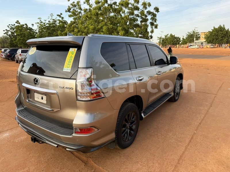 Big with watermark lexus gx niamey niamey 8058