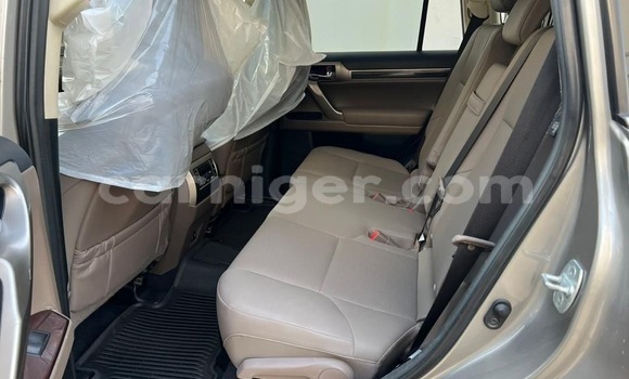 Sayi Sabo Lexus GX Brown Mota in Niamey a Niamey Sayi Sabo Lexus GX Brown Mota in Niamey a Niamey