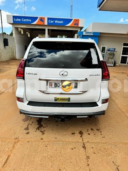 Big with watermark lexus gx niamey niamey 8059