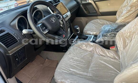 Sayi Sabo Toyota Prado White Mota in Niamey a Niamey Sayi Sabo Toyota Prado White Mota in Niamey a Niamey