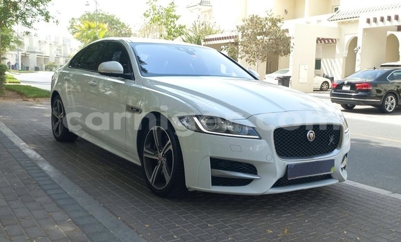 Buy Used Jaguar XF White Car in Niamey in Niamey Buy Used Jaguar XF White Car in Niamey in Niamey