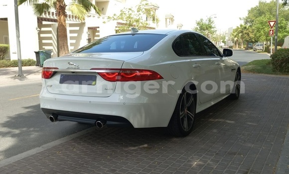 Buy Used Jaguar XF White Car in Niamey in Niamey Buy Used Jaguar XF White Car in Niamey in Niamey