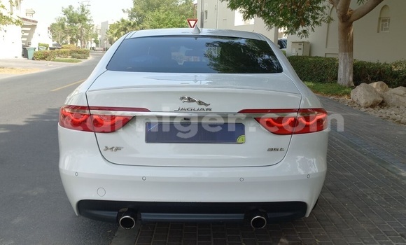 Buy Used Jaguar XF White Car in Niamey in Niamey Buy Used Jaguar XF White Car in Niamey in Niamey