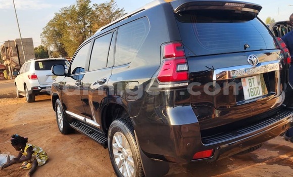 Sayi Sabo Toyota Prado Black Mota in Niamey a Niamey Sayi Sabo Toyota Prado Black Mota in Niamey a Niamey