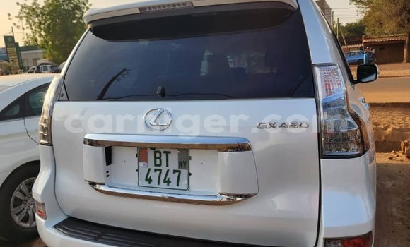 Sayi Sabo Lexus GX White Mota in Niamey a Niamey Sayi Sabo Lexus GX White Mota in Niamey a Niamey