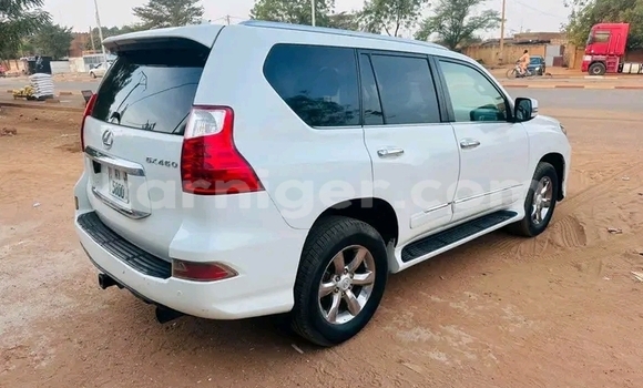 Buy Used Lexus RX White Car in Niamey in Niamey Buy Used Lexus RX White Car in Niamey in Niamey