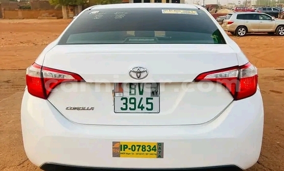 Sayi Na hannu Toyota Corolla White Mota in Gaya a Dosso Sayi Na hannu Toyota Corolla White Mota in Gaya a Dosso