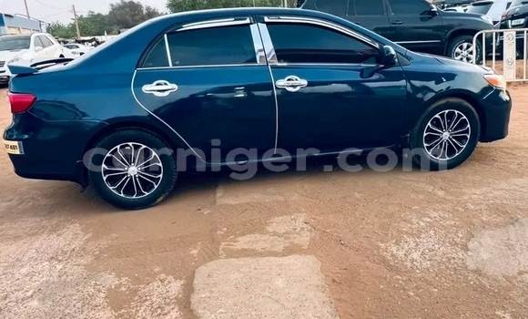 Buy Used Toyota Corolla Black Car in Niamey in Niamey Buy Used Toyota Corolla Black Car in Niamey in Niamey