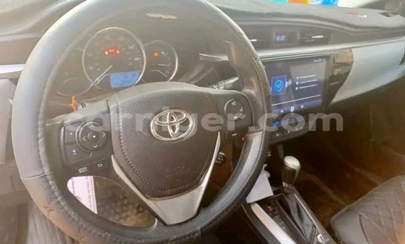 اشتري مستعمل Toyota Corolla Green سيارة في Madarounfa في مرادي اشتري مستعمل Toyota Corolla Green سيارة في Madarounfa في مرادي