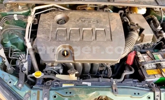 اشتري مستعمل Toyota Corolla Green سيارة في Madarounfa في مرادي اشتري مستعمل Toyota Corolla Green سيارة في Madarounfa في مرادي