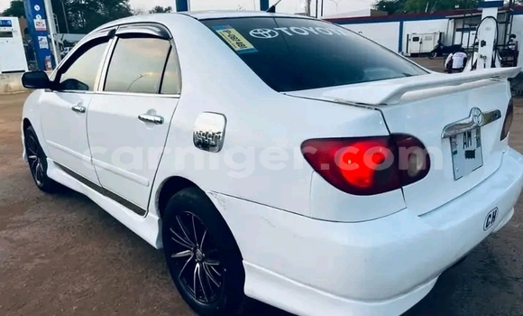 اشتري مستعمل Toyota Corolla White سيارة في زيندر في زيندر اشتري مستعمل Toyota Corolla White سيارة في زيندر في زيندر