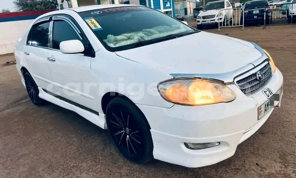 اشتري مستعمل Toyota Corolla White سيارة في زيندر في زيندر اشتري مستعمل Toyota Corolla White سيارة في زيندر في زيندر