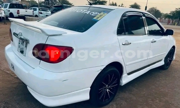 اشتري مستعمل Toyota Corolla White سيارة في زيندر في زيندر اشتري مستعمل Toyota Corolla White سيارة في زيندر في زيندر