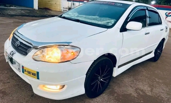 اشتري مستعمل Toyota Corolla White سيارة في زيندر في زيندر اشتري مستعمل Toyota Corolla White سيارة في زيندر في زيندر