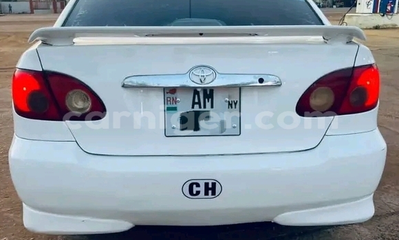 اشتري مستعمل Toyota Corolla White سيارة في زيندر في زيندر اشتري مستعمل Toyota Corolla White سيارة في زيندر في زيندر