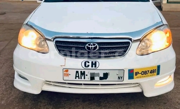 اشتري مستعمل Toyota Corolla White سيارة في زيندر في زيندر اشتري مستعمل Toyota Corolla White سيارة في زيندر في زيندر