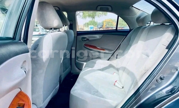 اشتري مستعمل Toyota Corolla Other سيارة في بيلما في أغاديز اشتري مستعمل Toyota Corolla Other سيارة في بيلما في أغاديز