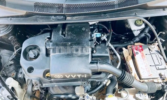 اشتري مستعمل Toyota Yaris Black سيارة في بيلما في أغاديز اشتري مستعمل Toyota Yaris Black سيارة في بيلما في أغاديز