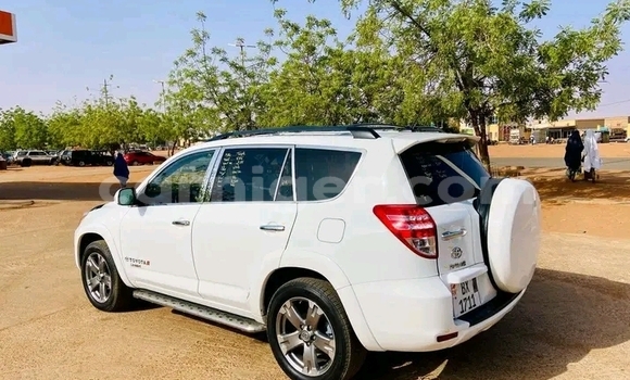 اشتري مستعمل Toyota RAV4 White سيارة في كولو في تيلابيري اشتري مستعمل Toyota RAV4 White سيارة في كولو في تيلابيري