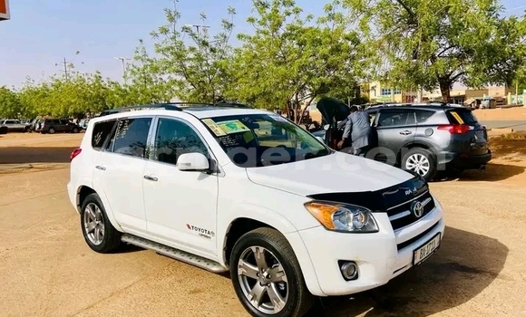 اشتري مستعمل Toyota RAV4 White سيارة في كولو في تيلابيري اشتري مستعمل Toyota RAV4 White سيارة في كولو في تيلابيري