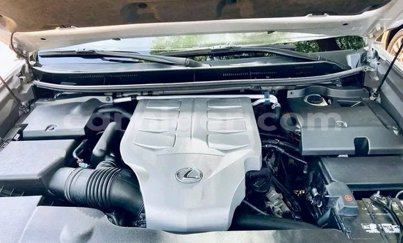 اشتري مستعمل Lexus GX Other سيارة في زيندر في زيندر اشتري مستعمل Lexus GX Other سيارة في زيندر في زيندر