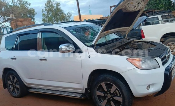 Buy Used Toyota RAV4 White Car in Tahoua in Tahoua Buy Used Toyota RAV4 White Car in Tahoua in Tahoua