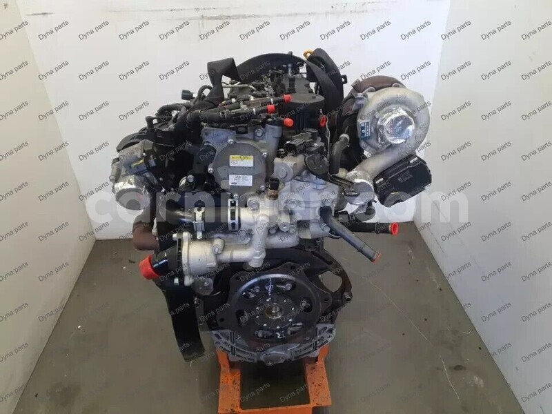 Big with watermark 6